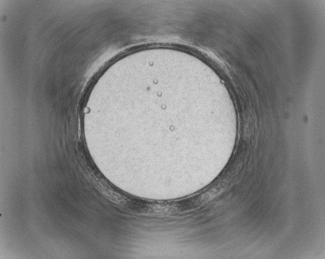 X0000062871271200602031708