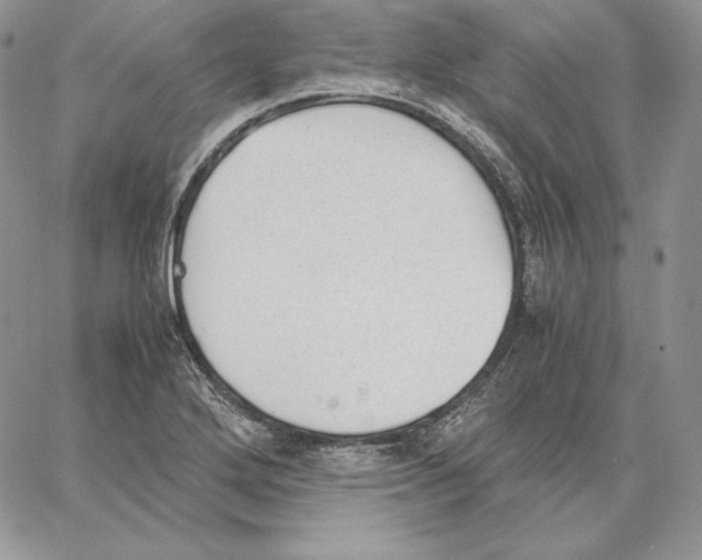 X0000062871272200602031708