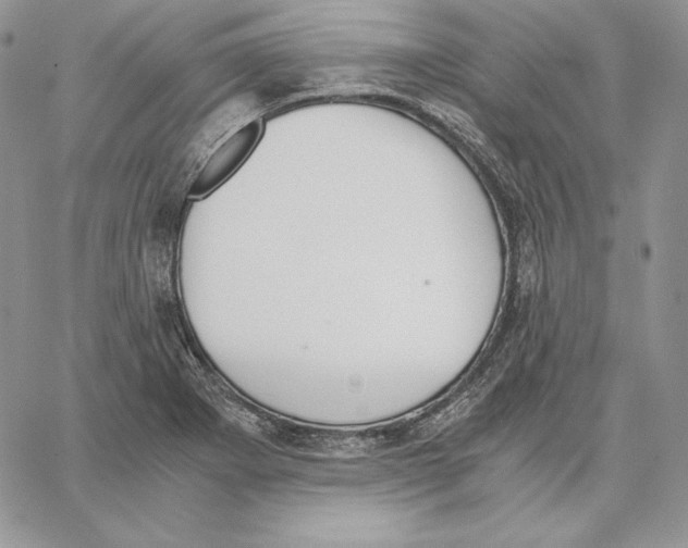 X0000062871273200602031707