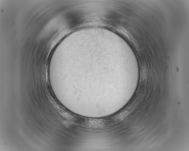 X0000062871274200602031707