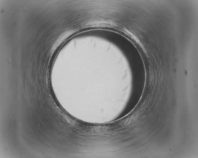 X0000062871277200602031707