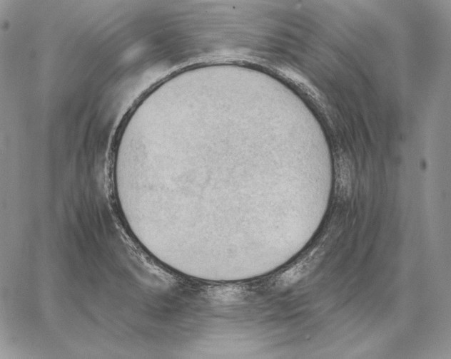 X0000062871278200602031707