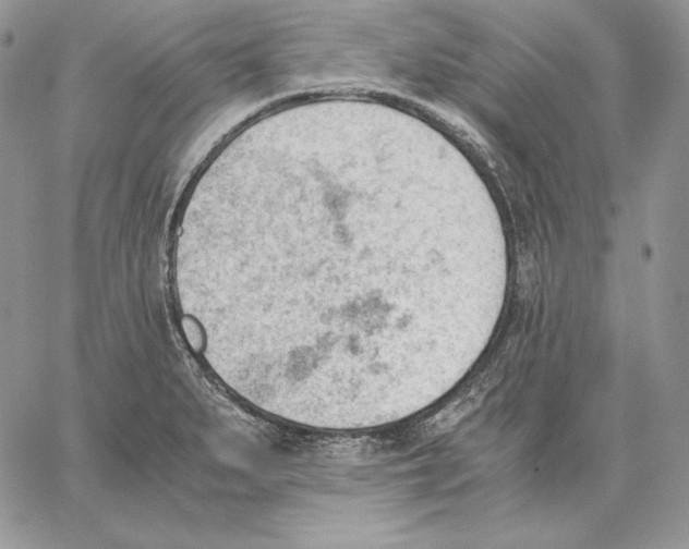 X0000062871279200602031707