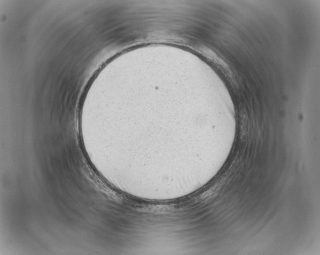 X0000062871280200602031707