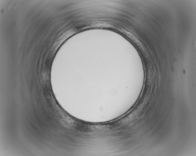 X0000062871281200602031707