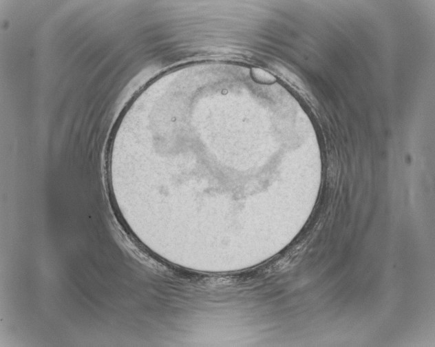 X0000062871283200602031707