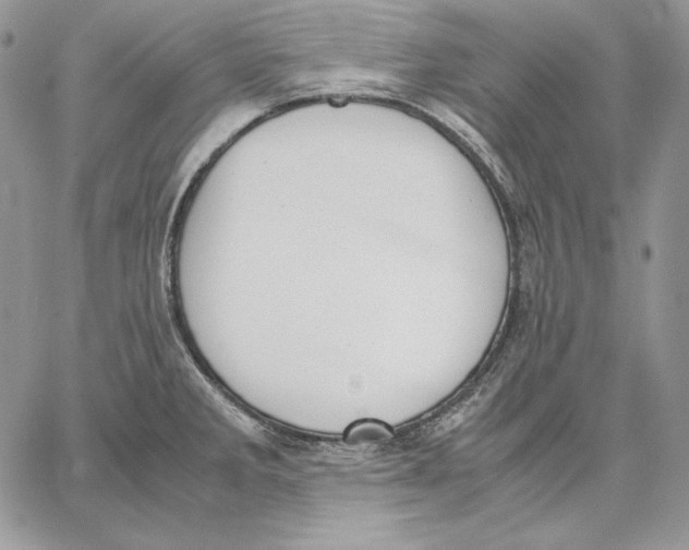 X0000062871285200602031707