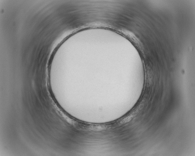 X0000062871286200602031707