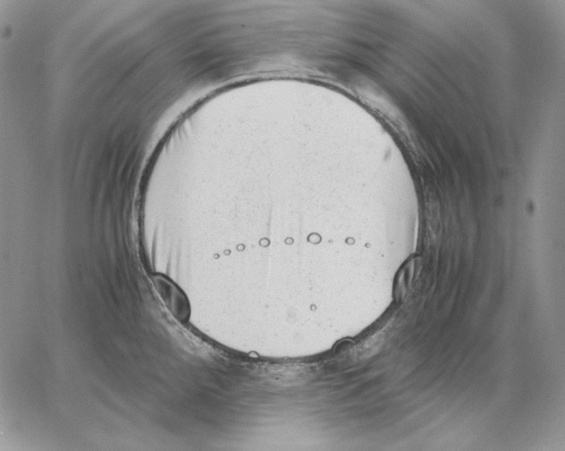 X0000062871288200602031707