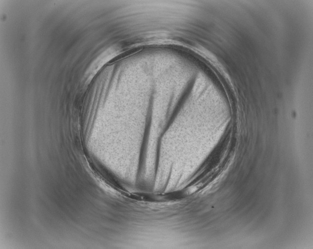 X0000062871289200602031707