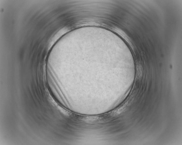 X0000062871290200602031707