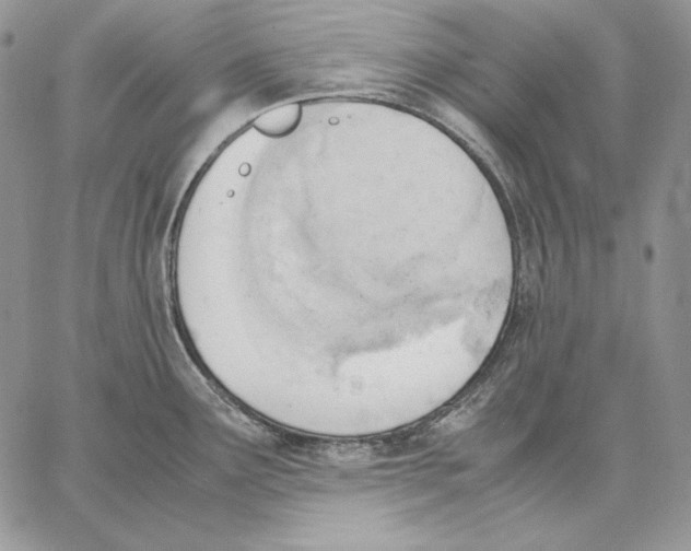 X0000062871291200602031707