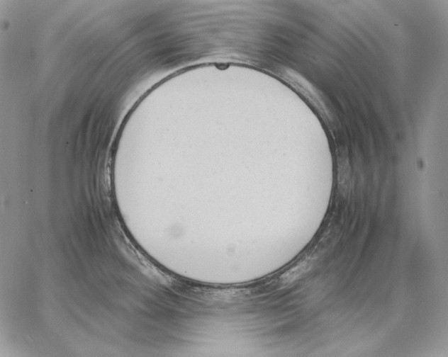 X0000062871292200602031707