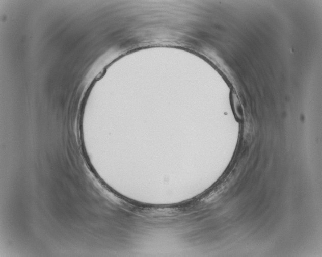 X0000062871293200602031707