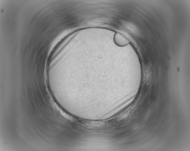 X0000062871294200602031707