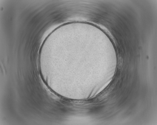 X0000062871295200602031707