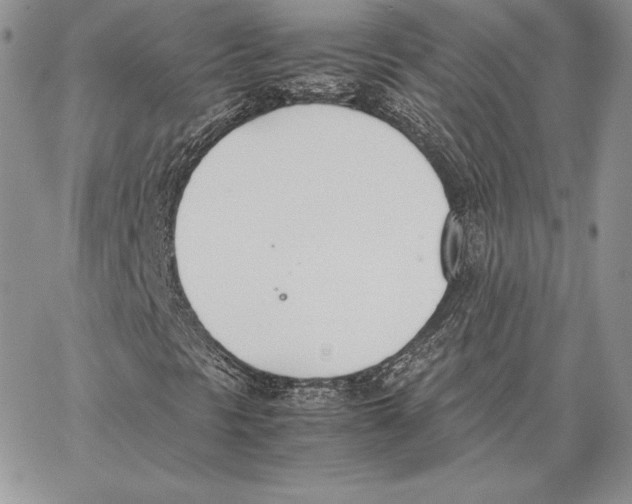 X0000062871297200602031706