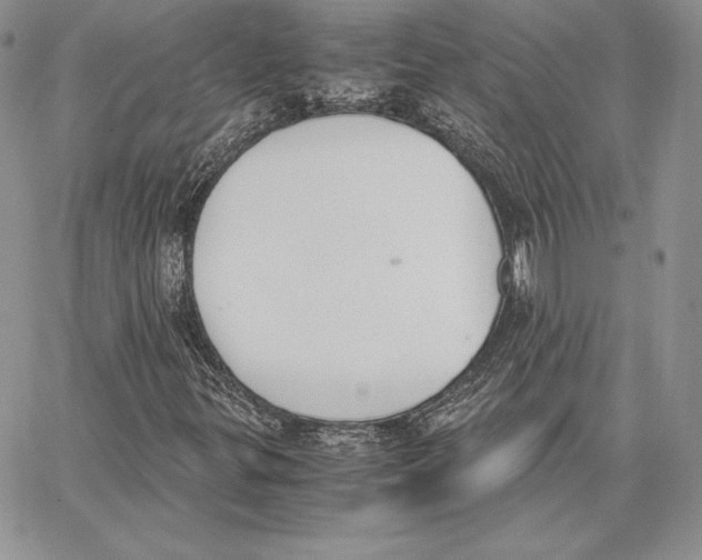 X0000062871299200602031706