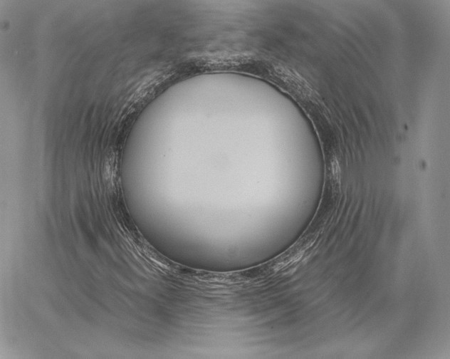 X0000062871300200602031706