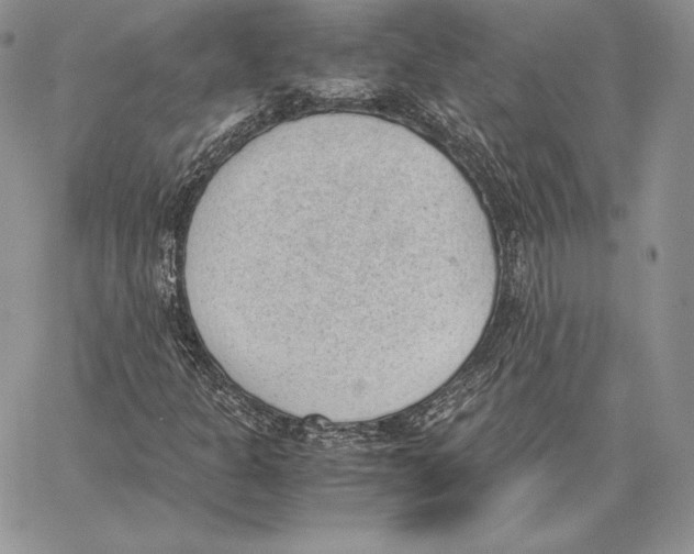 X0000062871301200602031706