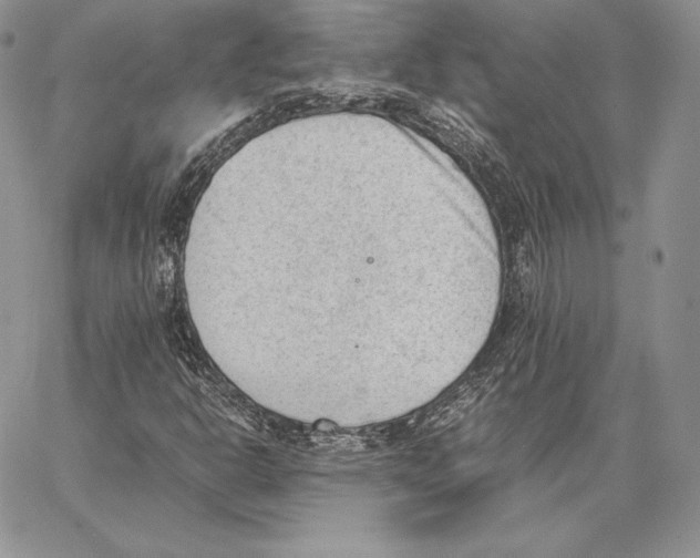 X0000062871302200602031706