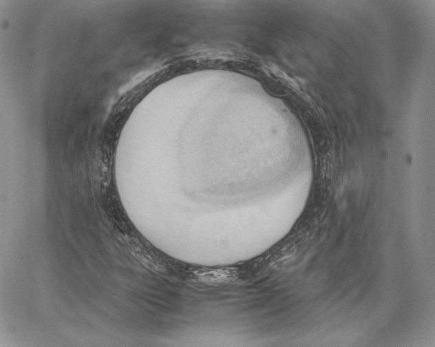 X0000062871303200602031706