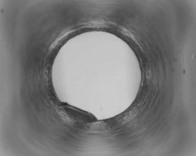 X0000062871304200602031706