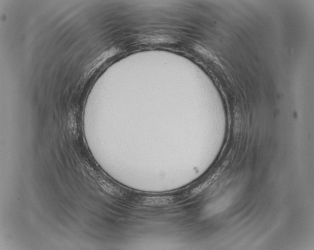 X0000062871305200602031706