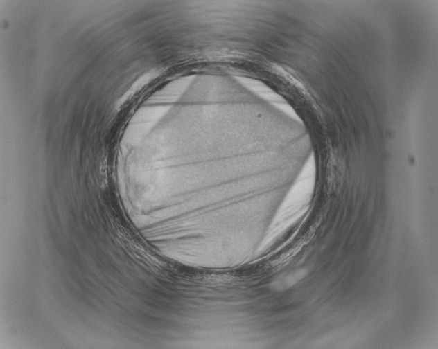 X0000062871306200602031706