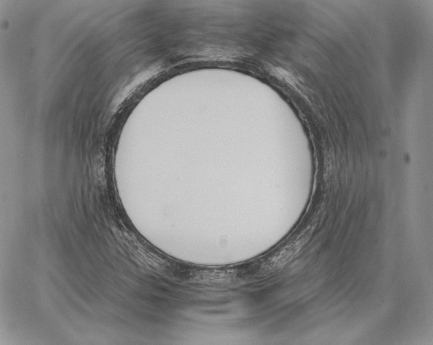 X0000062871307200602031707