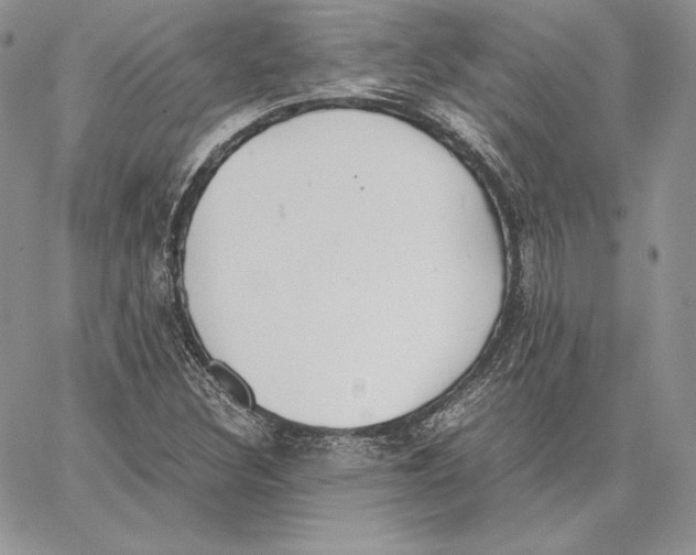 X0000062871308200602031707