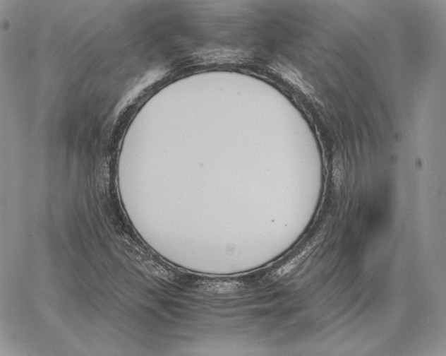 X0000062871309200602031707