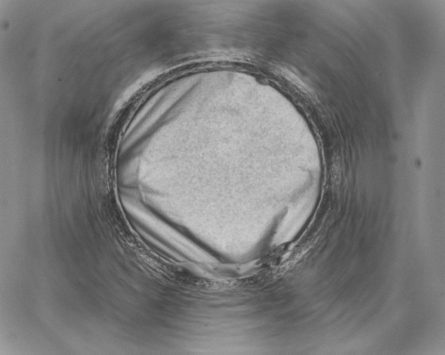 X0000062871310200602031707