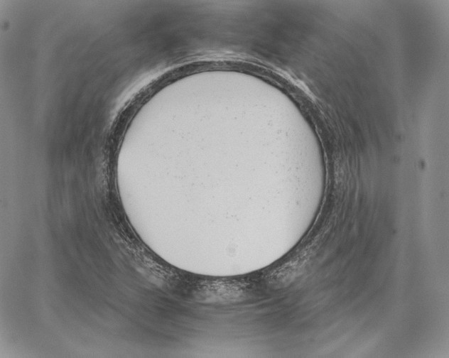 X0000062871311200602031707