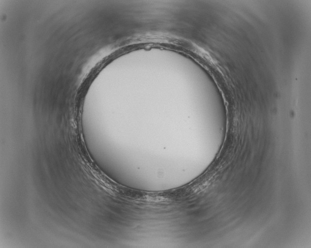 X0000062871312200602031707