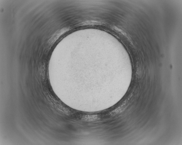 X0000062871313200602031707