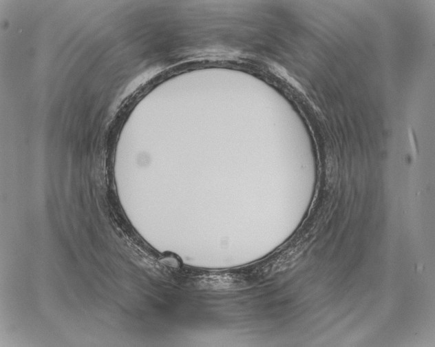 X0000062871315200602031707