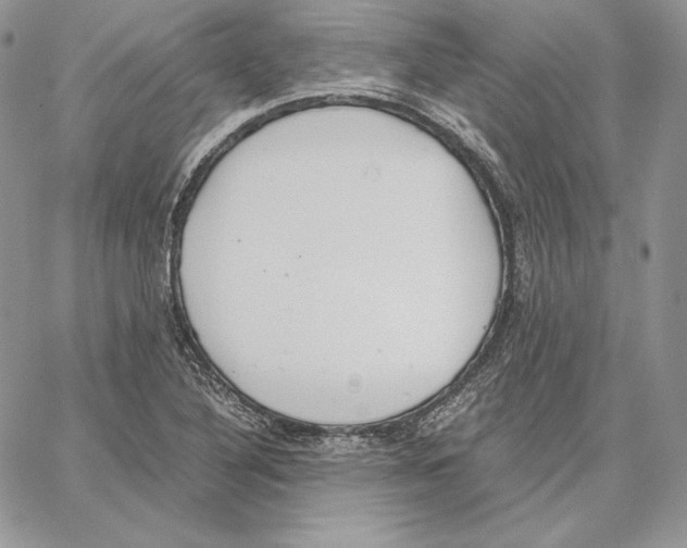 X0000062871316200602031707