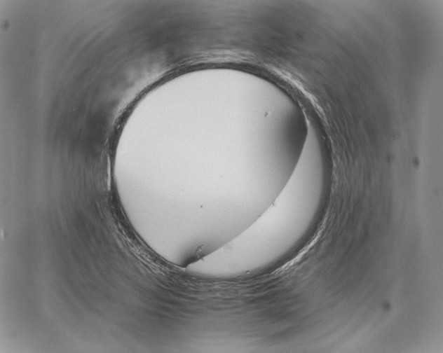 X0000062871317200602031707