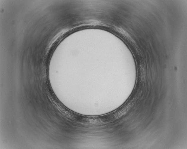 X0000062871318200602031707