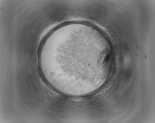 X0000062871319200602031707