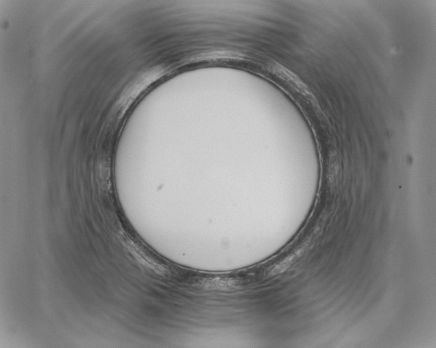 X0000062871321200602031707