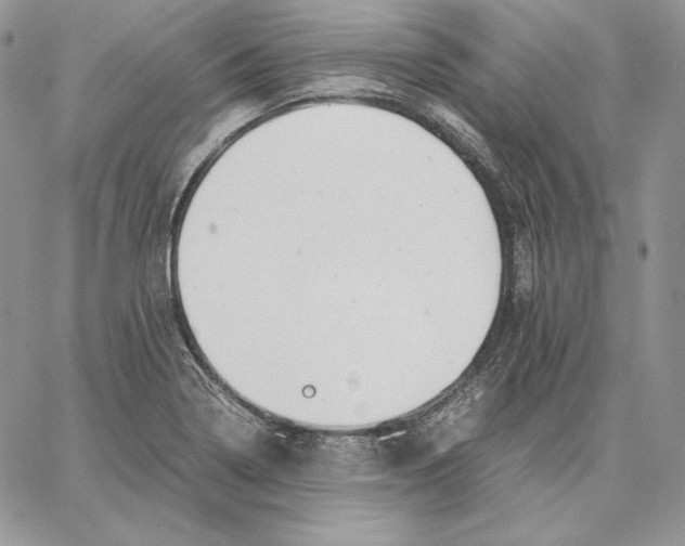 X0000062871322200602031707