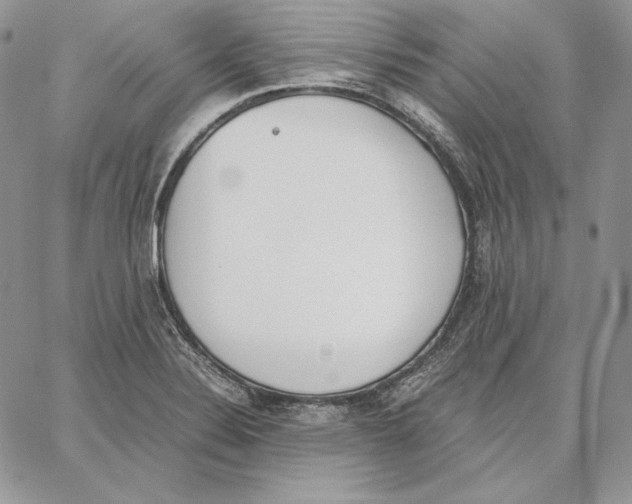 X0000062871324200602031707