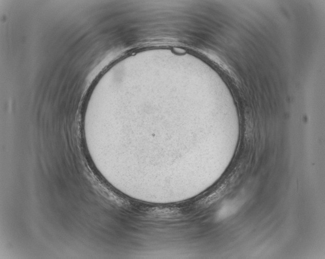 X0000062871325200602031707