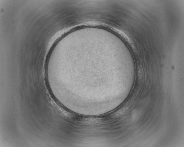 X0000062871327200602031707