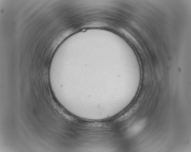 X0000062871329200602031707