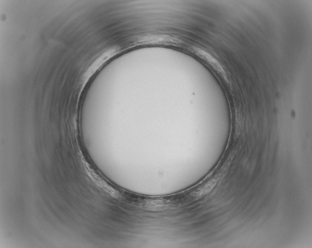 X0000062871330200602031707