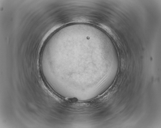 X0000062871331200602031707