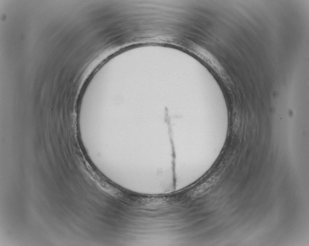 X0000062871332200602031707